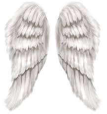 Black And White Angel Wings Png White Angel Wings Transparent Png Clip Art Image Angel Wings Pictures Angel Wings Tattoo I Believe In Angels