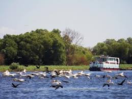Peisaje de vis, revenim vara asta sa stam o saptamana. Hotel Plutitor Delta Dunarii Excursii In Delta Dunarii Cu Ibis Tours