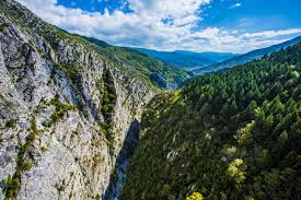 Check spelling or type a new query. Haberler Arsivleri Amasra Com Tr