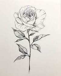 Scopri ricette, idee per la casa, consigli di stile e altre idee da provare. 1001 Ideen Und Inspirationen Fur Schone Bilder Zum Nachmalen Schone Bilder Zeichnen Rosen Zeichnen Bilder Zum Nachmalen