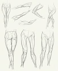 Check spelling or type a new query. 21 Human Anatomy Drawing Ideas And Pose References Beautiful Dawn Designs