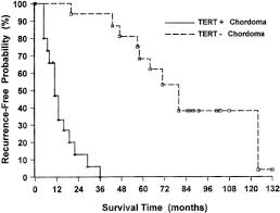 Maybe you would like to learn more about one of these? Chordoma Of The Skull Base Predictors Of Tumor Recurrence In Journal Of Neurosurgery Volume 98 Issue 4 2003