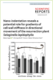 Plant vs animal cells cell wall supports and protects cell outside of cell membrane. Studying Plant Cell Wall Stiffness Gradients Using Afm Nano Indentation