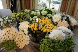 Assorted among the 4 colors shown these bushes add pizzazz to your space. Red Roses Bulk Costco