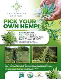 We provide only the top quality for you, your family, and friends! The Hempery Home Facebook