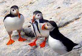 Clients & Testimonials