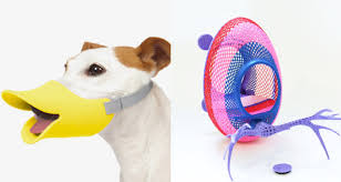 We did not find results for: Top 10 Der 3d Gedruckten Gegenstande Fur Ihr Haustier 3dnatives