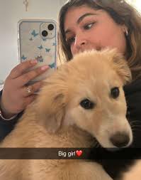 Is anyone missing a friendly, older stray dog?