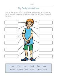 Printable worksheets illustrating body click on the thumbnails to get a larger, printable version. Pin On S C H O O L