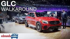 Image result for Hyacinth Red 2016 GLC