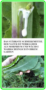 Pin Auf Ernahrung
