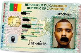 A national identity document (id, id card, identity card, ic, citizen card or passport card) is an identity card with a photo. Track Progress Issue Of Cameroon Id Cards Or Passports Online Passport Online Cards Cameroon