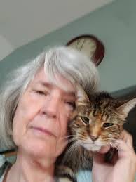 My Milly is in the hospital with an intestinal blockage. Please send warm  healing thoughts her way😥😻 : r/cats