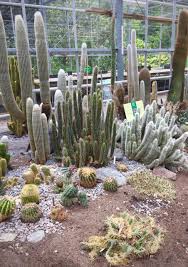 I searched for this on bing.com/images. 9 Things You Should Know Before You Visit Trompenburg Arboretum And Botanical Garden In Rotterdam Florida Botanical Gardens Montreal Botanical Garden Atlanta Botanical Garden
