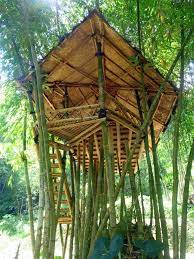 Rnr Bamboo Treehouse Designed And Built By Community Around The Gede Pangrango National Park West Java Indone Bamboo Structure Tree House Designs Bamboo Tree