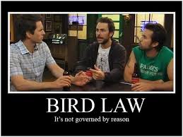 Bird Law Always Sunny Episode Best Law To Get Into Over Next 10 Years It S Always Sunny Bird Law It S Always Sunny In Philadelphia