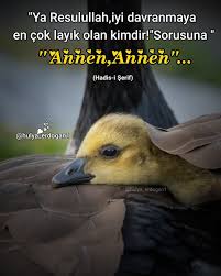 hulyaerdogan1 panosundaki pin