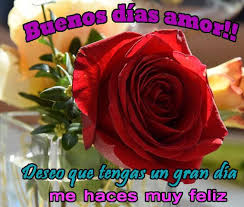 Download Buenos Dias Amor Con Rosas Rojas Free For Android Buenos Dias Amor Con Rosas Rojas Apk Download Steprimo Com