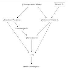 What are the implications for public health. Secondary Hyperparathyroidism And Chronic Kidney Disease Diabetes Spectrum