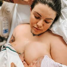 Why do Shih Tzus dig and rub their faces?