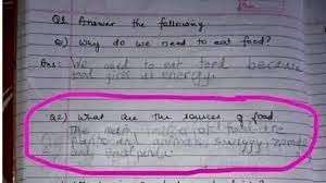 11 years ago lets all have some cake! reply 11 years ago but the cake is a lie! What Are The Sources Of Food Answer Of First Standard Student Stuns Teacher And Social Media Kerala General Kerala Kaumudi Online