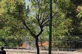 Η φωτιά περιορίστηκε άμεσα, χάρη σε όχημα της πυροσβεστικής που έφτασε εγκαίρως στο σημείο η κατάσταση ξεκάθαρα έχει ξεφύγει από κάθε έλεγχο, καθώς εδώ και λίγη ώρα φωτιά έχει ξεσπάσει και στο πεδίον του άρεως, στην. Vyspyx1gdli9m