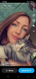 Gray cat with pink collar roaming 1700 S Olive Dr