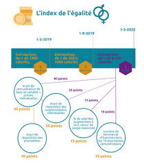 We did not find results for: L Index Egalite Femmes Hommes En Infographie Execution Du Contrat De Travail Social Editions Francis Lefebvre