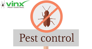 Do it yourself pest control greenville. How To Get Rid Of Roaches Without An Exterminator Home Remedies