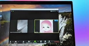 How To Show Profile Picture Instead Of Video In Zoom Meeting In 2020 Profile Picture Pictures Video
