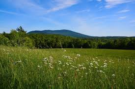 Blommor för new hampshire keene erbjuder samma dag blomsterförmedling för new hampshire keene till mycket låga priser. Looking To Relocate Look At New Hampshire S Monadnock Region Masiello Employment Services