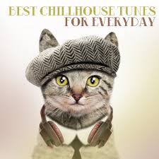 Ringo willy cat for ever has 1,888 members. Chris Galmon Music Download Beatport