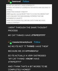 Do Cats See In Colour? - Quora