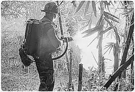 It's about to classy in here. Vietnam War Pictures Life During The War