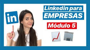 5 Como Usar Linkedin Para Empresas Curso De Linkedin Youtube