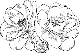 You can download (493x771) setangkai bunga mawar hitam putih png clip art for free. Mawar Vintage Dekoratif Gambar Vektor Gratis Di Pixabay