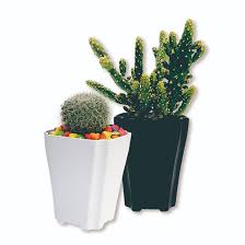 Universiti teknologi mara, achitecture, undergraduate. Pasu Bunga Plastik Flower Planter Macetas Plast Decor Pot With Best Quality Buy Pasu Bunga Plastik Flower Pot Planter Making Mangrove Manual Marigold Menards Michigan Millet Mixed Miyawaki Outland Paperwhite Pot Decor Monthly