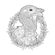 Tom turkeys gobble and fan their tails when displaying for a hen. Graphic Turkey Head Stock Illustration Illustration Of Card 77065723