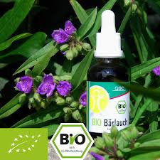 Like many seeds wild bear garlic requires a period of cold stratification. Organic Wild Garlic Extract Aspermuehle De