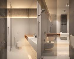 One interesting plant can set a high small touches can be powerful ones. Modern Minimalist Small Bathroom Novocom Top