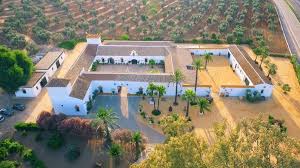 Directorio de empresas para organizar vuestra boda en sevilla. Hacienda Mendieta Entre Las 10 Mejores Fincas Para Bodas En Sevilla