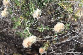 889.303/σει 889.303/τρα 889.303/χακ 889.303/συθ 889.303/βαρ 889.303/λει Ta3idiwtikos Odhgos Krhths Krhtikos Ebenos