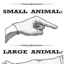If pets could read they probably wouldn't be afraid of veterinarians as much. Veterinary Medicine Large Vs Small Animal By Greentiger Veterinary Medicine Small Pets Veterinary