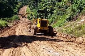 Walhi Pembangunan Jalan Trans Papua Hanya Menguntungkan 39 Perusahaan