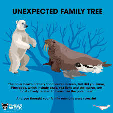 Pin By Meredith Seidl On Fun Animal Facts Fun Facts About Animals Unusual Animals Animal Conservation