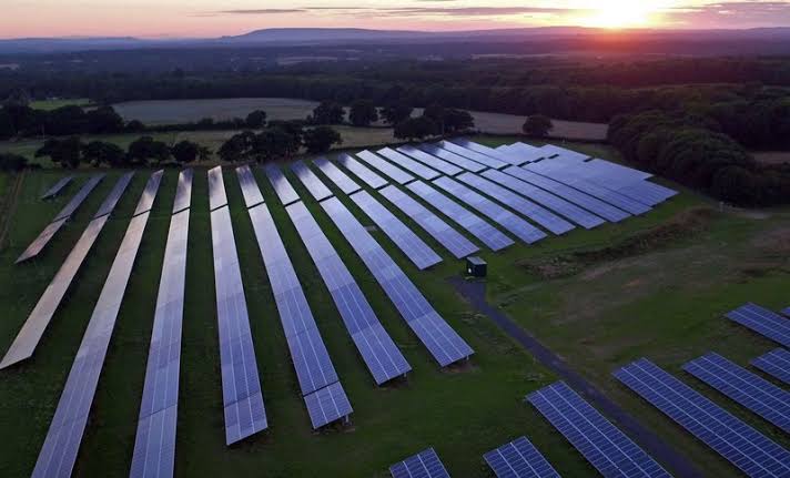 Britain's best farmland destroyed under Net Zero madness as enough food to feed  200,000 vanishes