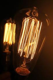 Edison Light Bulb Squirrel Cage Filament Edison Light Bulbs Light Bulb Thomas Edison Light Bulb