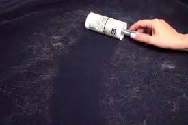 Milunova pet & lifestyle products for dogs, cats & other pets. 10 Ways To Remove Shih Tzu Hair From Clothes Shih Tzu Daily