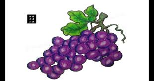 Januari 13, 2021 0 comments. Sketsa Gambar Buah Apel Berwarna Gambar Buah Buahan