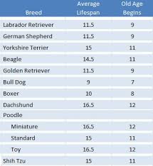 boxer dog age chart best picture of chart anyimage org